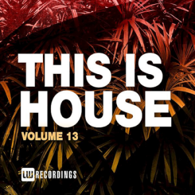 VA - This Is House Vol. 13 (2021)