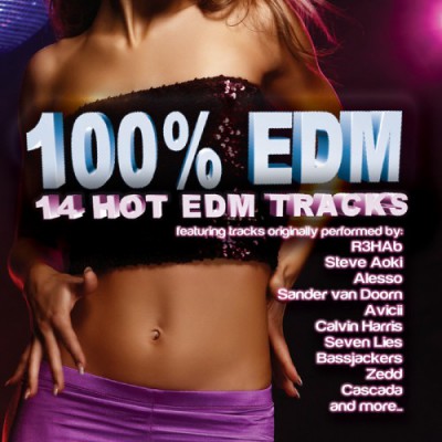 100% EDM (14 Hot EDM Tracks) (2014)