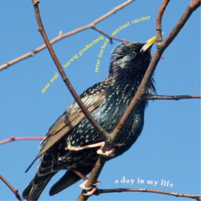 Various Artists - A Day in My Life (2014)
