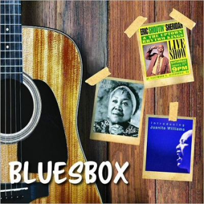 VA - Silverwolf Blues Box (2019) [CD Rip]