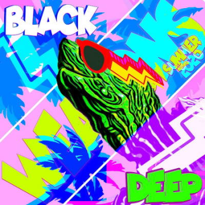 VA - Black Turtle Deep Summer (2020)