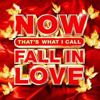 VA - Now That's What I Call Fall In Love (2020)