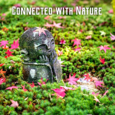 Meditation Garden Zone - Connected with Nature (2021)
