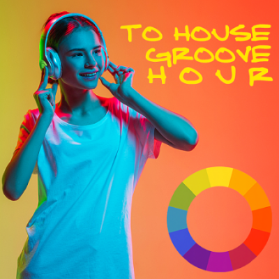 VA - To House Hour Groove (2021)