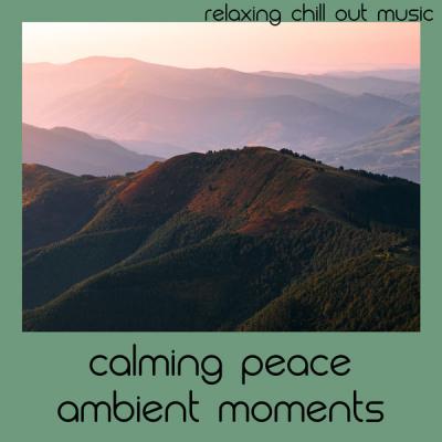 Relaxing Chill Out Music - Calming Peace Ambient Moments (2021)