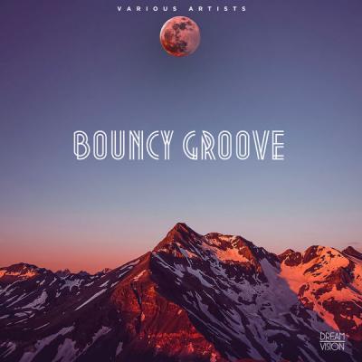 Various Artists - Bouncy Groove (2021)