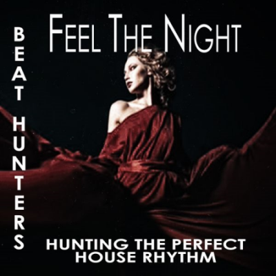 Various Artists - Feel the Night (Beat Hunters) (2021)