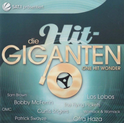 VA - Die Hit-Giganten - One Hit Wonder (2008)