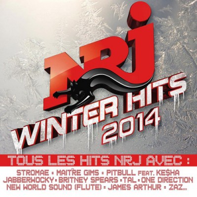 NRJ Winter Hits 2014 (2CD) (2014)