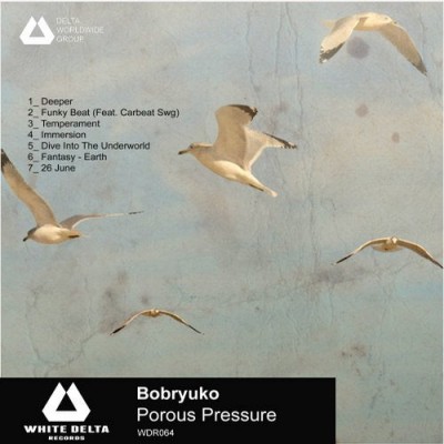 ELECTRONICA - Bobryuko - Porous Pressure - WDR064
