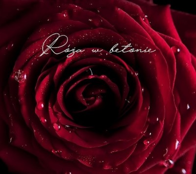 Ruby - Róża Z Betonu EP (2019)