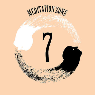 VA - Meditation Zone 7 (2019)