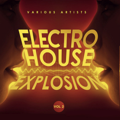 VA - Electro House Explosion Vol. 2 (2019)