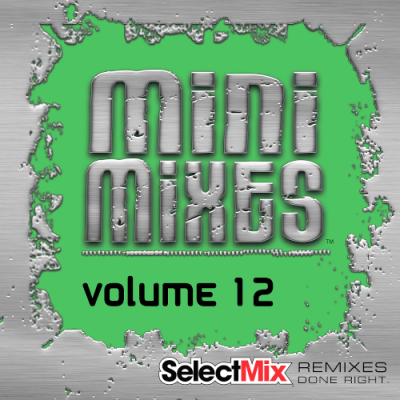 VA - Select Mix Mini Mixes Vol. 12 (2019)