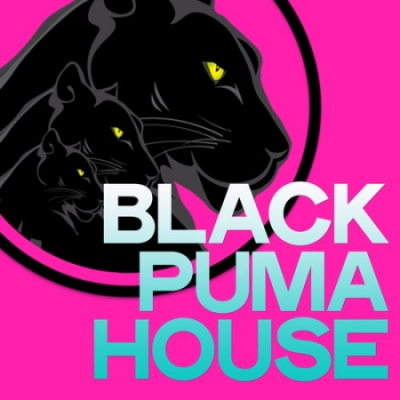 VA - Black Puma House (2020)