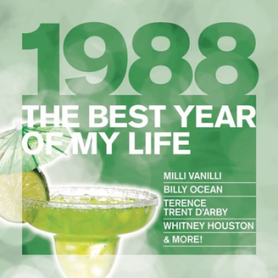 VA - The Best Year Of My Life 1988 (2010) MP3