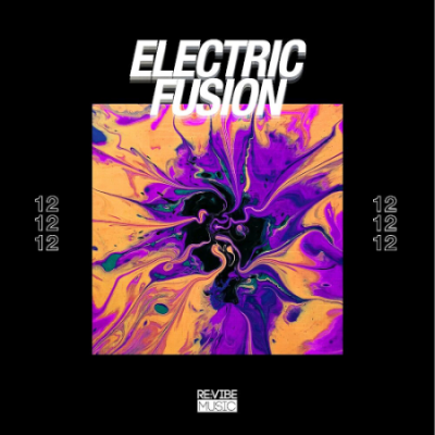 VA - Electric Fusion Vol. 12 (2020)