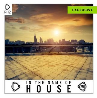In The Name Of House Vol. 29 (Beatport Exclusive)