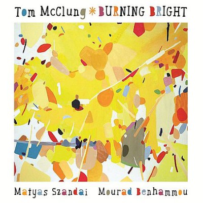 Tom McClung - Burning Bright (2015)
