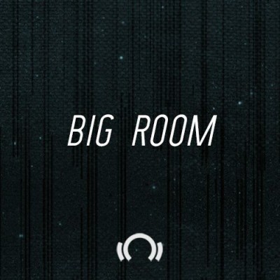 Big Room &amp; EDM Anthem (AUG 21) Vol.01