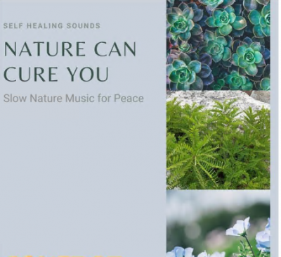 Various Artists - Nature Can Cure You - Self Healing Sounds Slow Nature Music for Peace (2021)