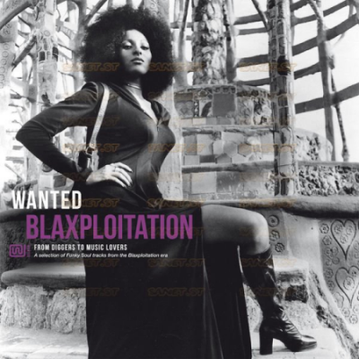 Various Artists - Wanted Blaxploitation From Diggers To Music Lovers (2021)