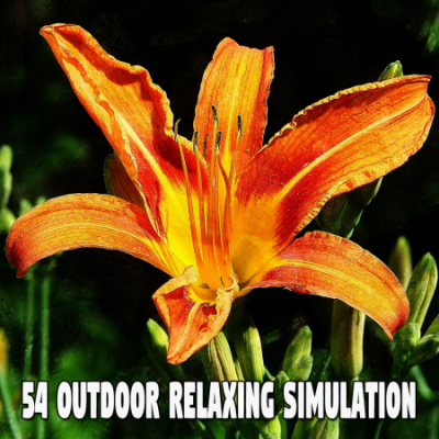 White Noise For Baby Sleep - 54 Outdoor Relaxing Simulation (2021)