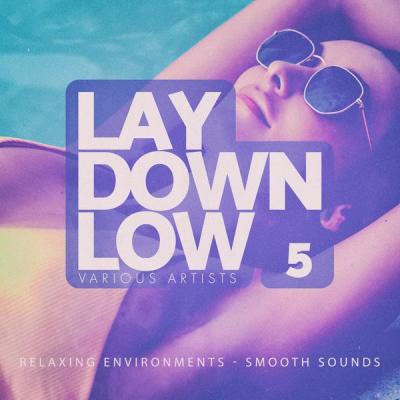 Various Artists - Lay Down Low Vol. 5 (2021)