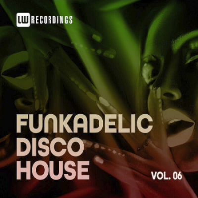 VA - Funkadelic Disco House 06 (2021)