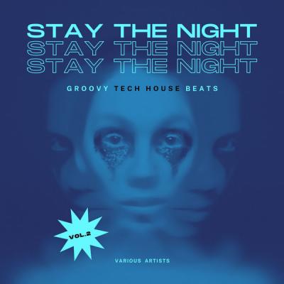 Various Artists - Stay The Night (Groovy Tech House Beats) Vol. 2 (2021)