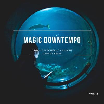 Various Artists - Magic Downtempo Vol.2 (2021)