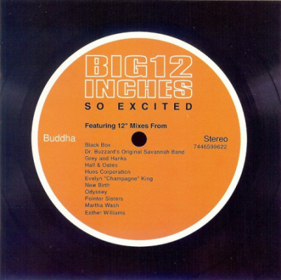 VA - Big 12 Inches (So Excited) (1999)