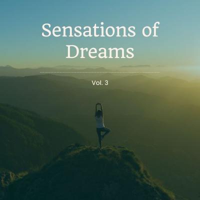 Various Artists - Sensations of Dreams Vol. 2 (2021)