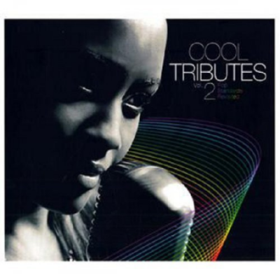 VA - Cool Tributes Pop Standards Revisited Vol.2 (2008)
