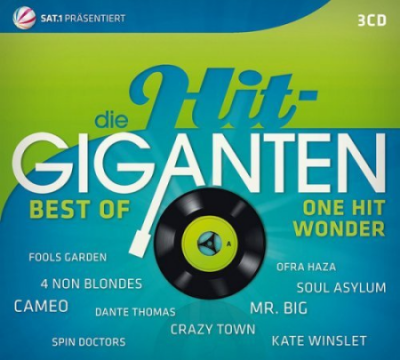 VA - Die Hit Giganten: Best Of One Hit Wonder (2013) MP3