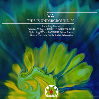 VA - This Is Underground 29 (2021)