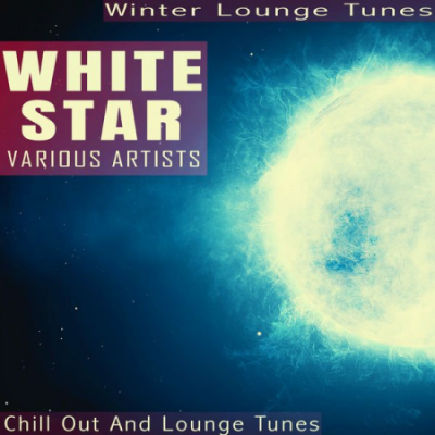 Various Artists - White Star - Winter Lounge Tunes (2021)