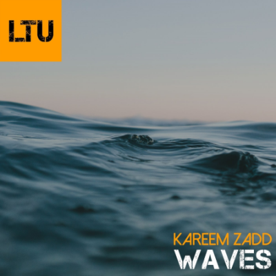 Kareem Zadd - Waves (Original Mix) (2021)