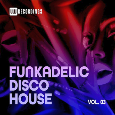 VA - Funkadelic Disco House 03 (2021)