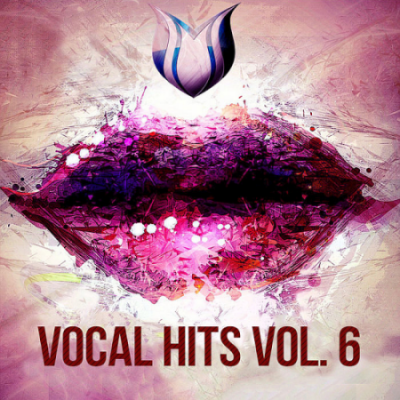 VA - Vocal Hits Vol. 6 (2020)