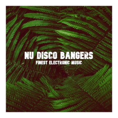Various Artists - Nu Disco Banger (2020)